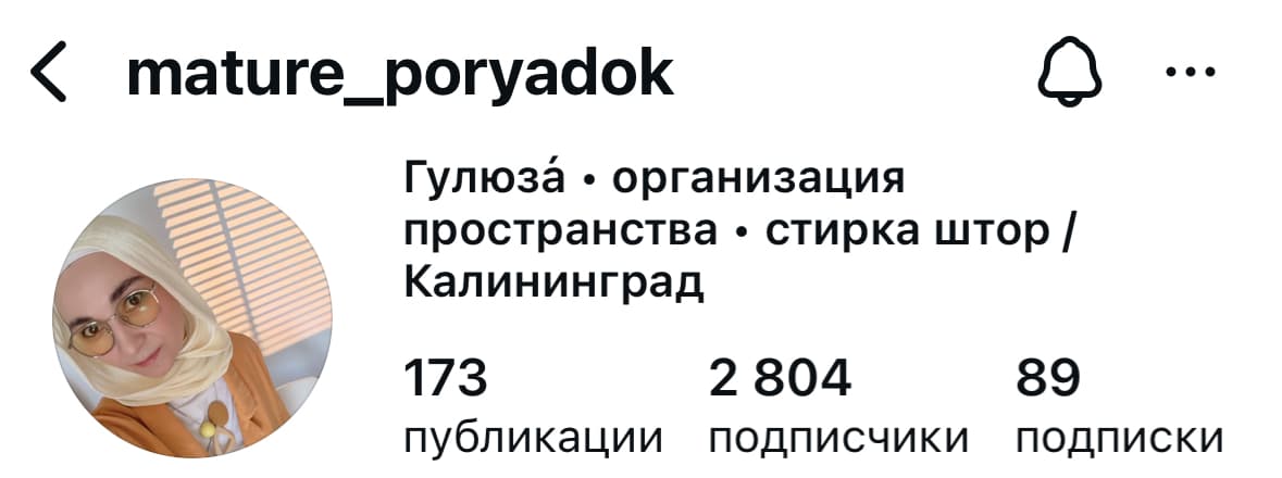 Гулюза: аккаунт после проекта