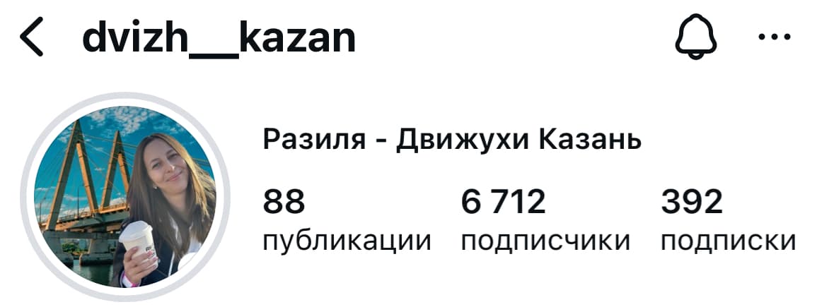 Разиля: аккаунт после проекта